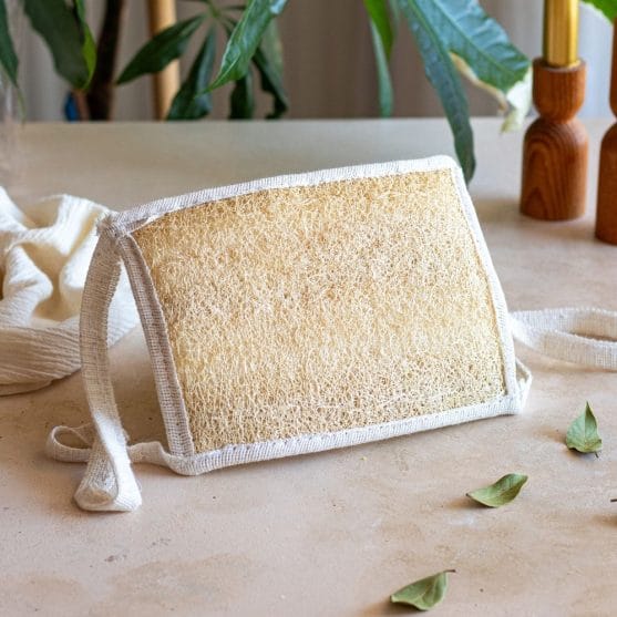 dikdörtgen kabak lifi